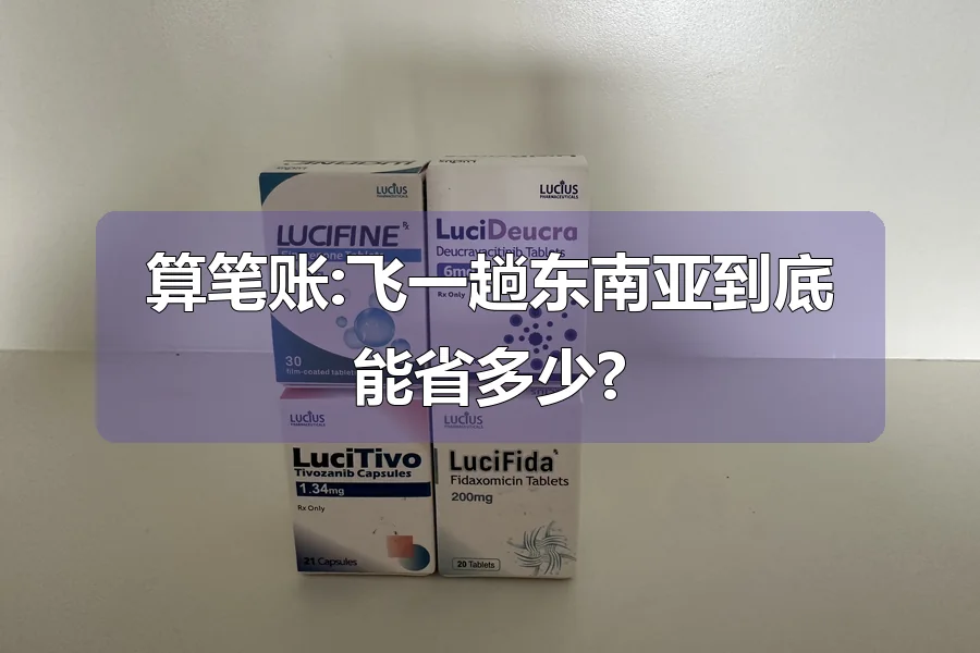 算笔账:飞一趟东南亚到底能省多少?